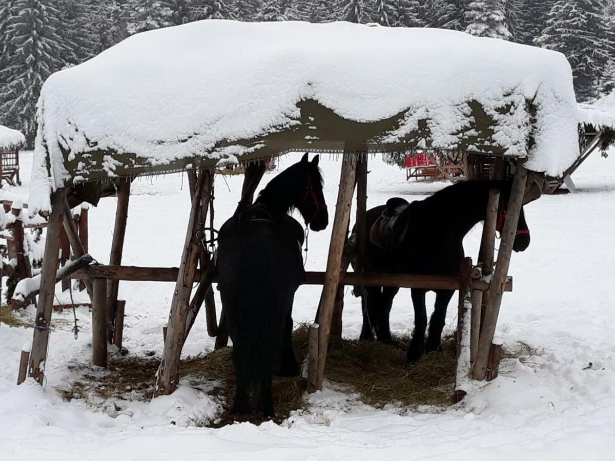 Luxury Mountain Apartment Brassópojána Kültér fotó